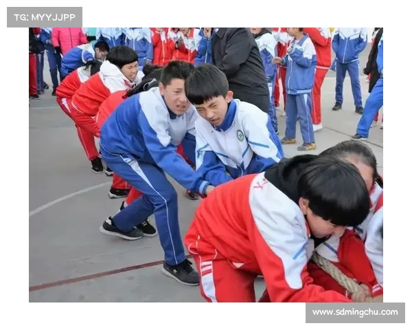 成都乒乓联赛冠军之路：从梦想起航到荣耀巅峰的挑战与奋进